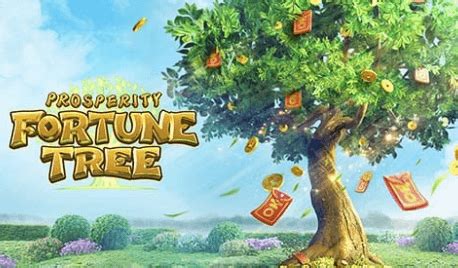 tree of fortune slot demo|Tree of fortune Slot .